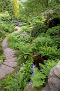 Garden Path Photograph by Science Photo Library