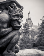 Gargoyle Photograph by Adam Romanowicz