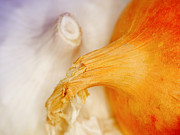 Garlic and onion Photograph by Nick  Biemans