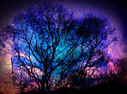 Gaze of the Infinite I Mixed Media by Susan Maxwell Schmidt