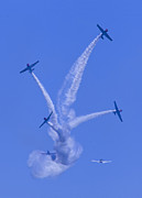 Geico Skytypers Tree of Smoke Photograph by Donna Corless