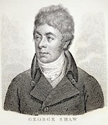 George Shaw Photograph by Science Photo Library