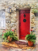 Geraniums by Red Door Photograph by Susan Savad Geraniums by Red Door Photograph by Susan Savad