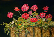 Geraniums Painting by Genie Morgan