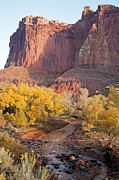 Gifford Farm Capitol Reef National Park Photograph by Fred Stearns