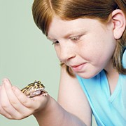 Girl With Her Pet Toad Photograph by Science Photo Library