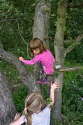 Girls Playing In A Tree Photograph by Science Photo Library