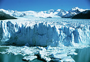 Glacial Ice Cliff Photograph by Science Photo Library