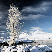 Glencoe winter landscape Photograph by Grant Glendinning Glencoe winter landscape Photograph by Grant Glendinning