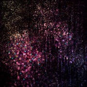 Glimpse Of Invisible Interior Photograph by Paul Cutright