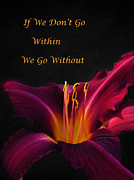 Go Within Photograph by Kathi Mirto