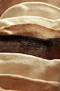 Goat Backs Photograph by Science Photo Library