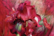 Goddess Of Passion Mixed Media by Carol Cavalaris