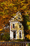 Golden Colonial Photograph by Joann Vitali