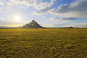 Golden Desert Photograph by Chad Dutson