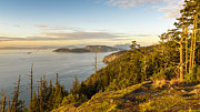 Golden Hour on the Salish Sea Photograph by Tony Locke