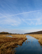 Golden January Photograph by Azthet Photography