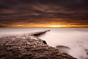 Golden Photograph by Jorge Maia Golden Photograph by Jorge Maia