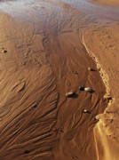 Golden Sand Streams Photograph by Kathi Mirto
