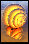 Golden Shell Digital Art by Ann Stretton Golden Shell Digital Art by Ann Stretton