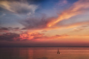 Good Morning Cape Cod Photograph by Susan Candelario Good Morning Cape Cod Photograph by Susan Candelario