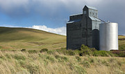 Grain Elevator Photograph by Mary Lee Dereske