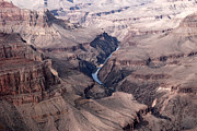 Grand Canyon Photograph by Melany Sarafis