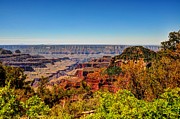 Grand Canyon North Rim Photograph by Bruce Friedman