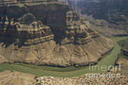 Grand Canyon West Photograph by Mark Newman