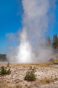 Grand Geyser in Upper Geyser Basin in Yellowstone National Park Photograph by Fred Stearns