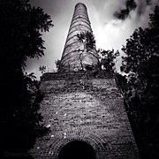 Grand Relic Photograph by Natasha Marco