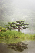 Grant Me Serenity Photograph by Patty Colabuono