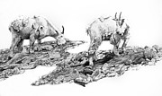 Grazing Painting by Aaron Spong