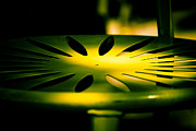 Green and Gold Photograph by Christi Kraft