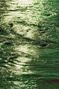 Green Cosmos Photograph by S Paul Sahm Green Cosmos Photograph by S Paul Sahm