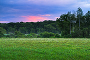 Green Sunrise Photograph by Bryan Bzdula