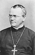 Gregor Mendel Photograph by Science Photo Library