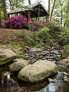 Guignard Park-1 Photograph by Charles Hite