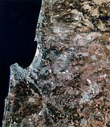 Haifa Photograph by Science Photo Library
