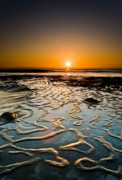 Halcyon Photograph by Ryan Weddle