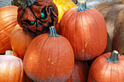 Halloween Goblin Photograph by Aimee L Maher ALM GALLERY Halloween Goblin Photograph by Aimee L Maher ALM GALLERY