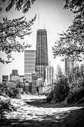 Hancock Building Through Trees Black and White Photo Photograph by Paul Velgos