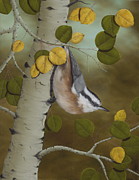 Hanging Around-Red Breasted Nuthatch Painting by Rick Bainbridge