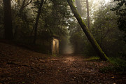 Hansel and Gretel Photograph by Jorge Maia Hansel and Gretel Photograph by Jorge Maia