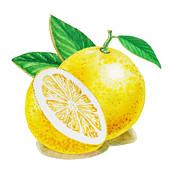 Happy Grapefruit- Irina Sztukowski Painting by Irina Sztukowski