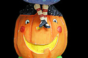 Happy Pumpkin Photograph by Aimee L Maher ALM GALLERY