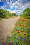 Happy Road Photograph by Lynn Bauer