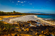 Hapuna Beach Painting by Omaste Witkowski