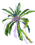 Hawaiian Haha Plant Cyanea Stictophylla Painting by Diane Thornton