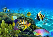 Hawaiian Rainbow Fish Painting by Stephen Jorgensen